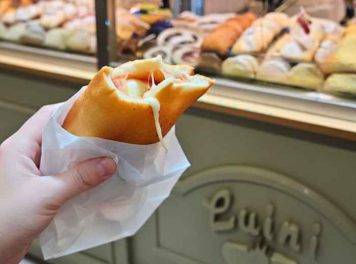 Fried panzerotti with melted mozzarella and tomato sauce served hot