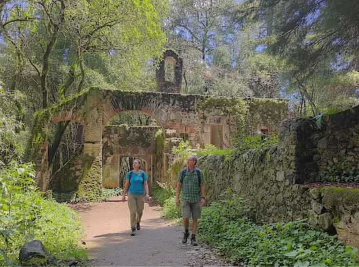 Old monastery ruins in the forest at Desierto de los Leones