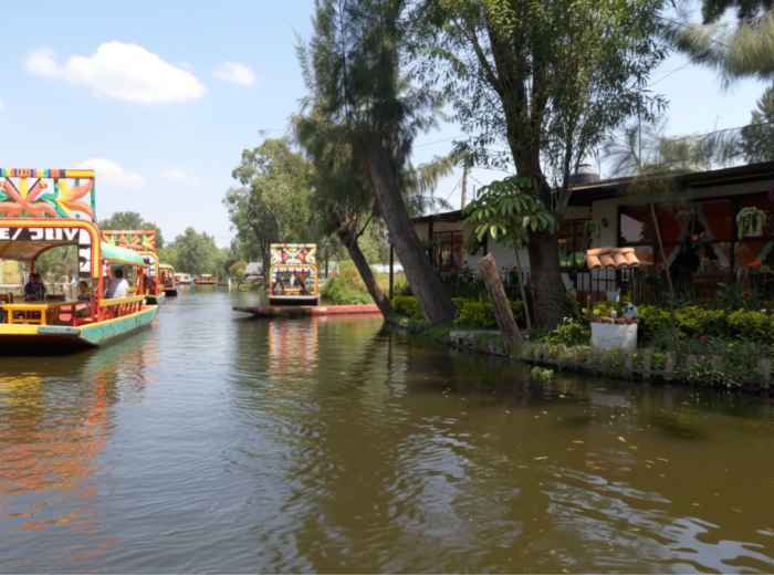 Colorful trajineras lined up along canal bank