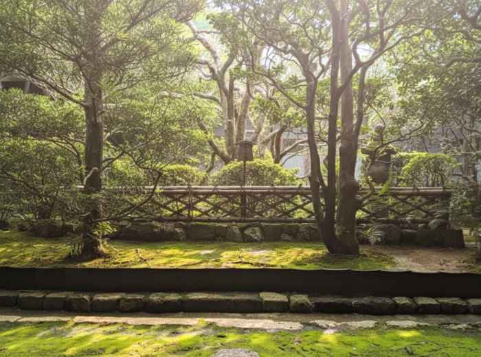 Sunlit temple garden path in Kyoto with moss and trees