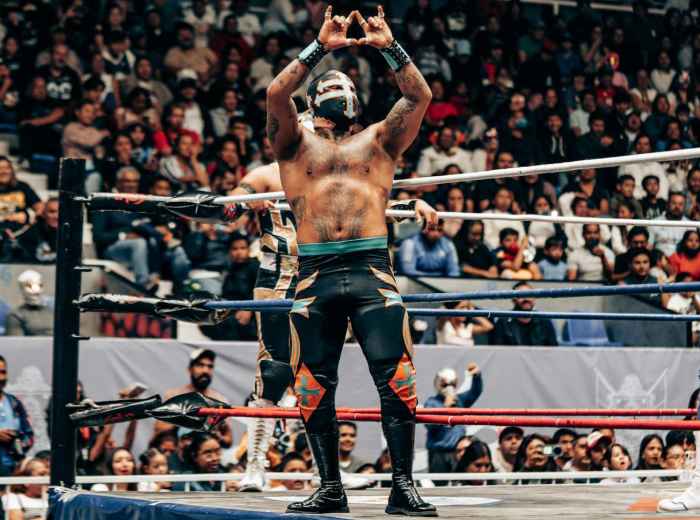 Masked professional wrestling star in a crowded arena