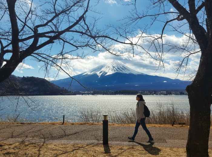 Mount Fuji reflected in Lake Kawaguchiko with winter trees in foreground