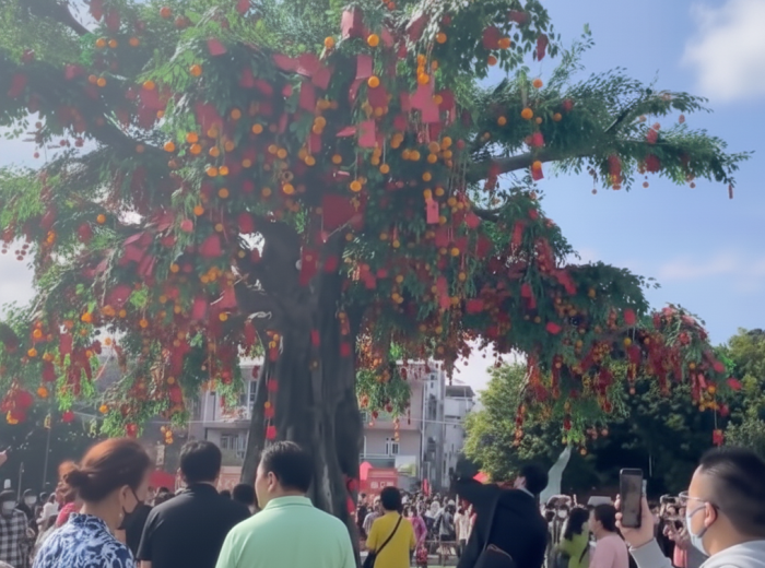Lam Tsuen Wishing Trees