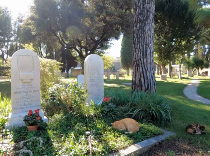 Cats resting on old graves among cypress trees
