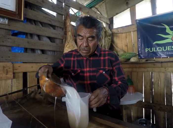 Pulque being poured from a gourd