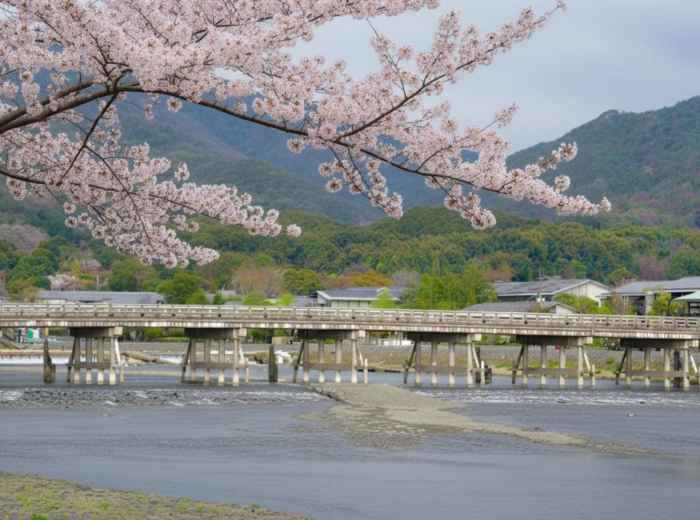 Togetsukyo Bridge in Arashiyama framed by cherry blossoms with mountains beyond