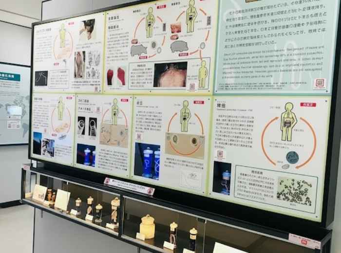 Educational display panels and specimen jars inside the Meguro Parasitological Museum in Tokyo