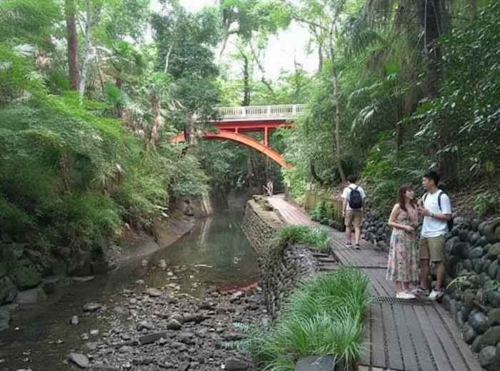 Todoroki Valley in Tokyo with forest path, stream, and red bridge