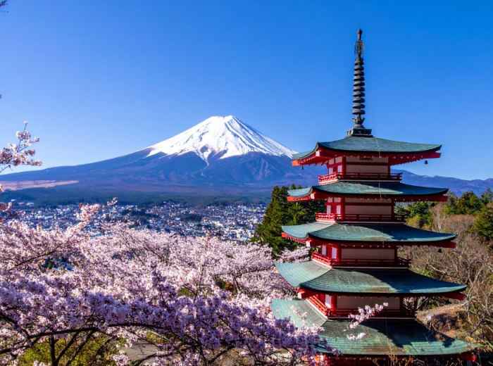 Chureito Pagoda and Mt Fuji during Sakura season