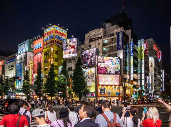 Neon-lit Akihabara street with electronics and anime shops at night