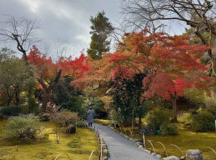 Quiet garden path in Japan during autumn, with red and gold leaves and a calm atmosphere