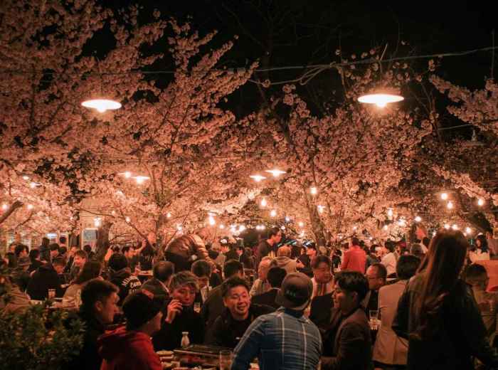 Hanami picnic at night, with warm lights and people enjoying the night