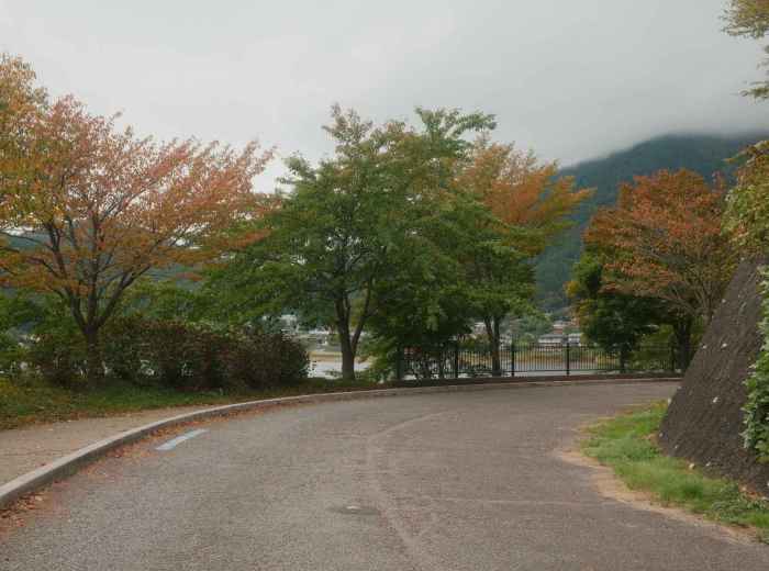 Quiet road in Japan with autumn trees, showing seasonal travel conditions