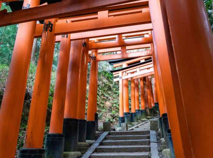 Early morning walk through the Senbon Torii gates at Fushimi Inari Shrine in Kyoto