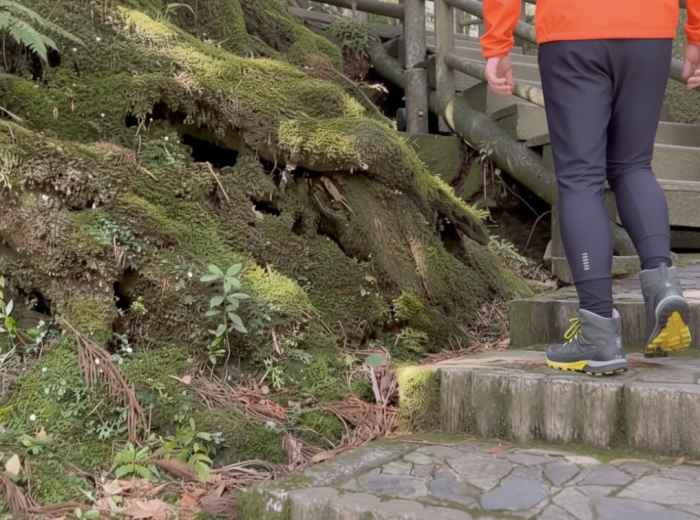 Shiratani Unsuikyo moss-covered ancient trail