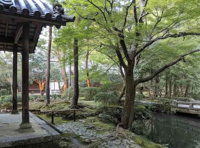 Quiet temple garden in Japan with moss, trees, and still water, reflecting slow travel and mindful observation
