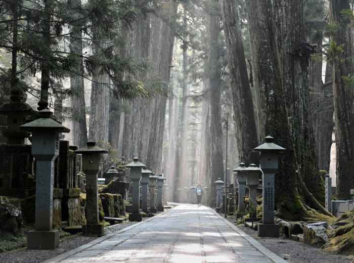 Cedar forest path leading through Okunoin cemetery at Koyasan
