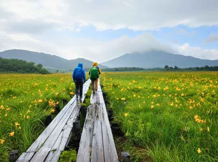 Wooden boardwalk crossing alpine wetlands in Oze National Park