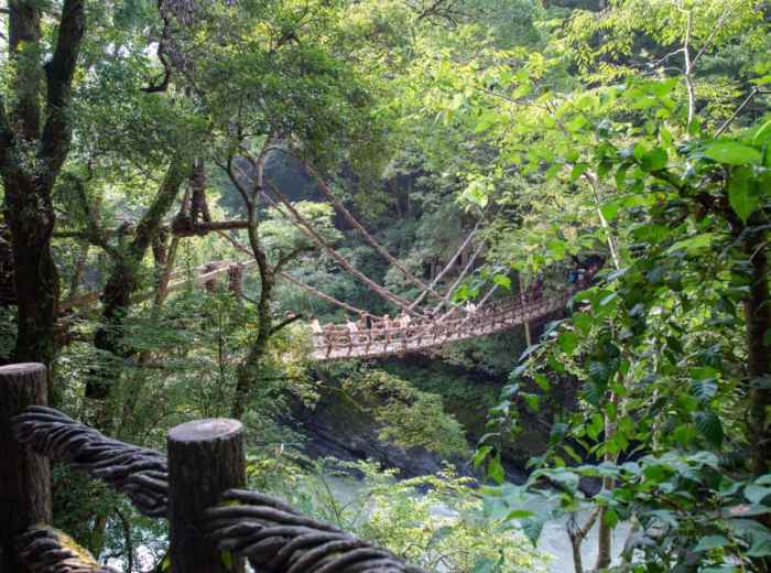 Vine suspension bridge Kazurabashi in Iya