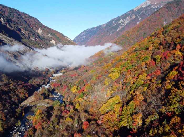 Autumn colors in the Japanese Alps during peak foliage
