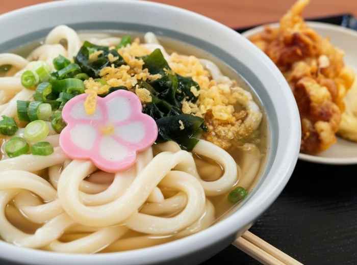 Kake udon from Mendokoro Wataya in Takamatsu