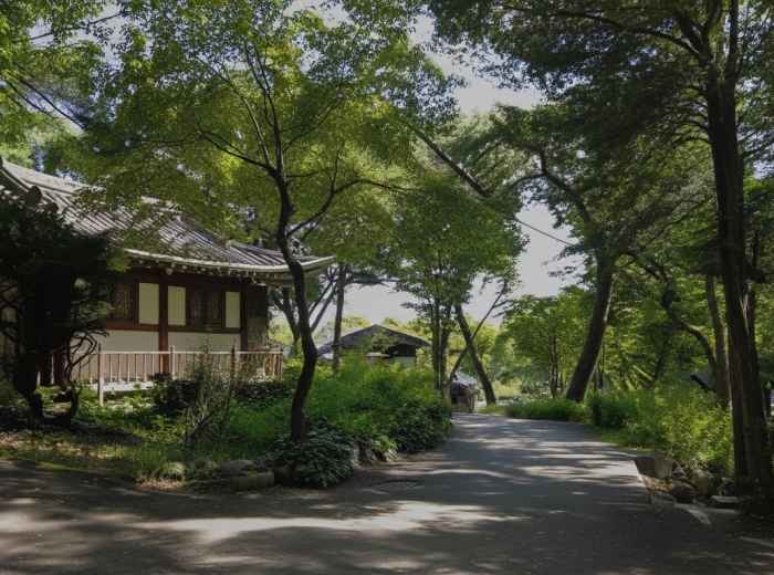 Tree-lined path near Gilsangsa Temple in Seongbuk-dong