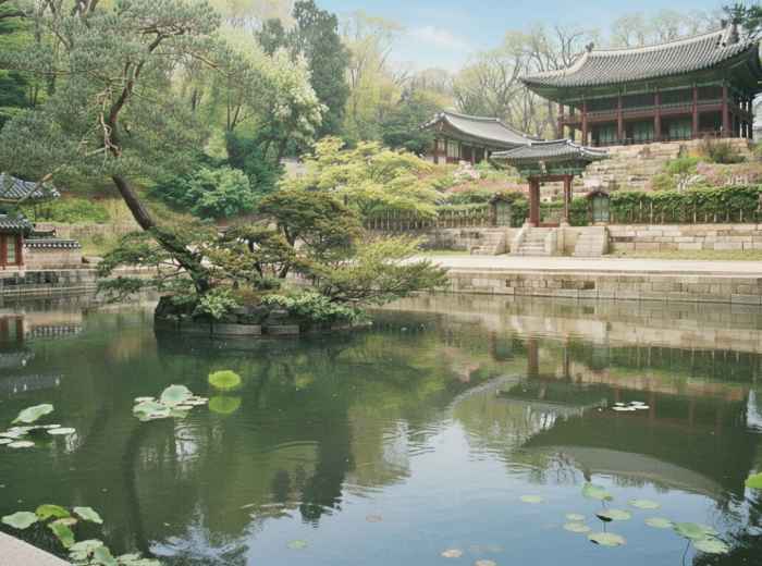 Changdeokgung in late spring, quiet pond beneath deep green canopy