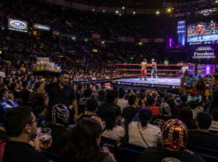 Fans watching a Friday night lucha libre match at Arena México