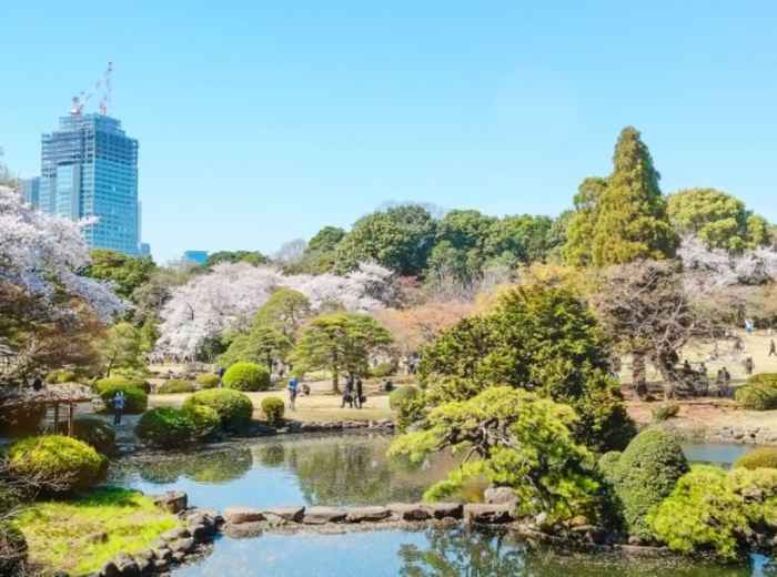 Gardens and ponds at Shinjuku Gyoen with Tokyo skyline beyond