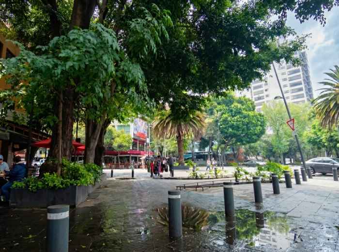 Cafés along a leafy Roma Norte street