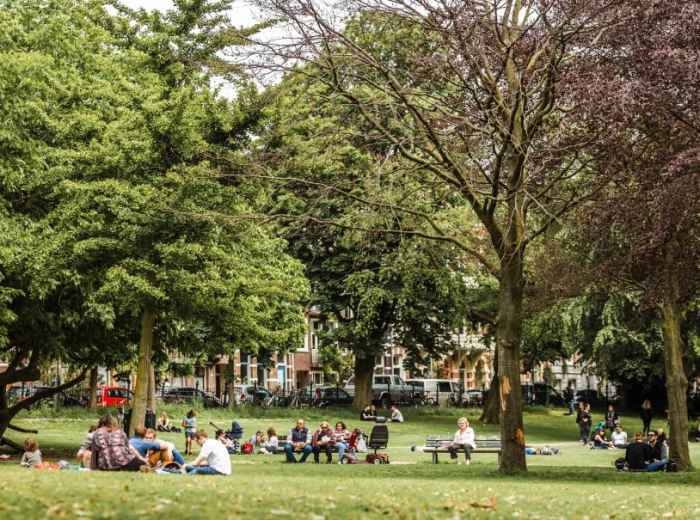 People relaxing in Amsterdam's Vondelpark on a sunny afternoon 