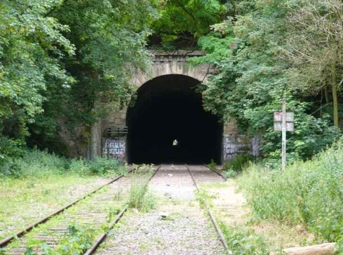 Overgrown railway tracks leading into a La Petite Ceinture tunnel 