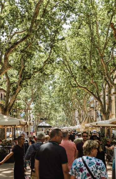 Kickstart your trip to Barcelona