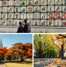 Tokyo's fall magic: A guide to experiencing the city's seasonal splendor