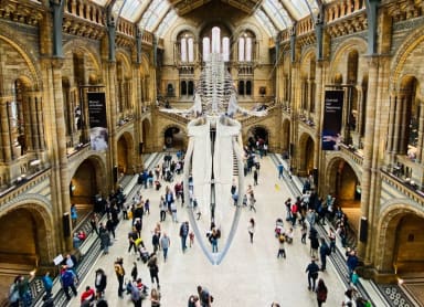 Natural History Museum - South Kensington