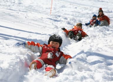 Ski and Snowboard in winter