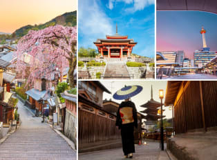 Spring tours in Kyoto: Navigating cherry blossoms, cult
