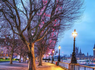 The Very Best Things To Do in Marylebone