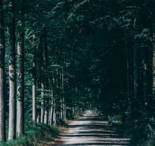 Take a walk in Tervuren