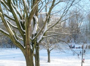 Best Things to Do in Berlin in Winter