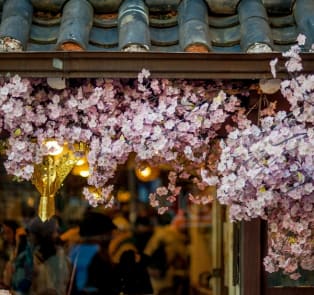 What to expect in spring