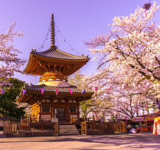 Kitain Temple with cherry blossom trees