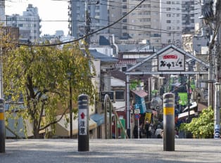Yanaka city, Japan