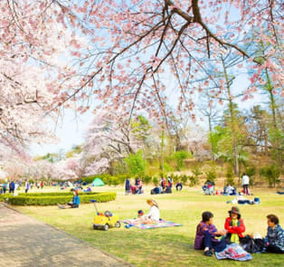 So when is the best time to visit Seoul?