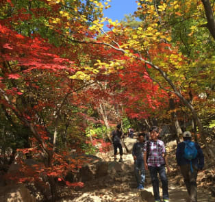 Things to do in fall
