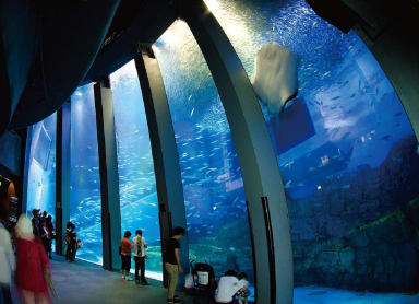 Adventure at Yokohama Hakkeijima Paradise