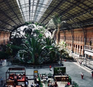 Tips for Madrid solo travel