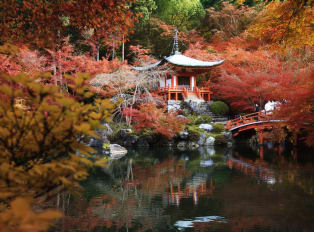 What To Do In Kyoto This Fall - Things To Do In Septemb