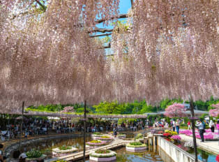 A day trip that is a haven for nature enthusiasts.