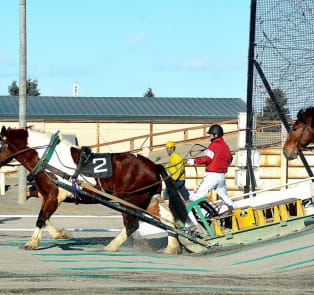Witness the Hokkaido Banei Horse Racing
